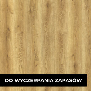 Dąb Frankie